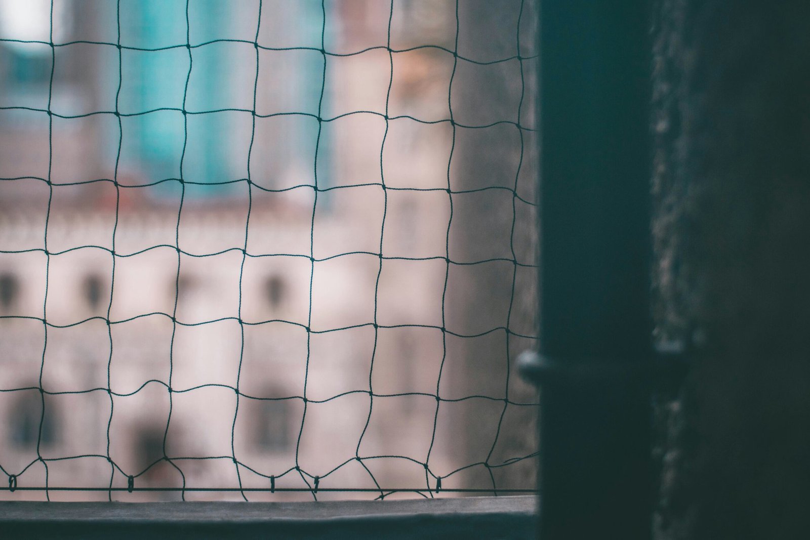 Effective Bird Netting Services in Pimpri Chinchwad: Keeping Your Space Bird-Free