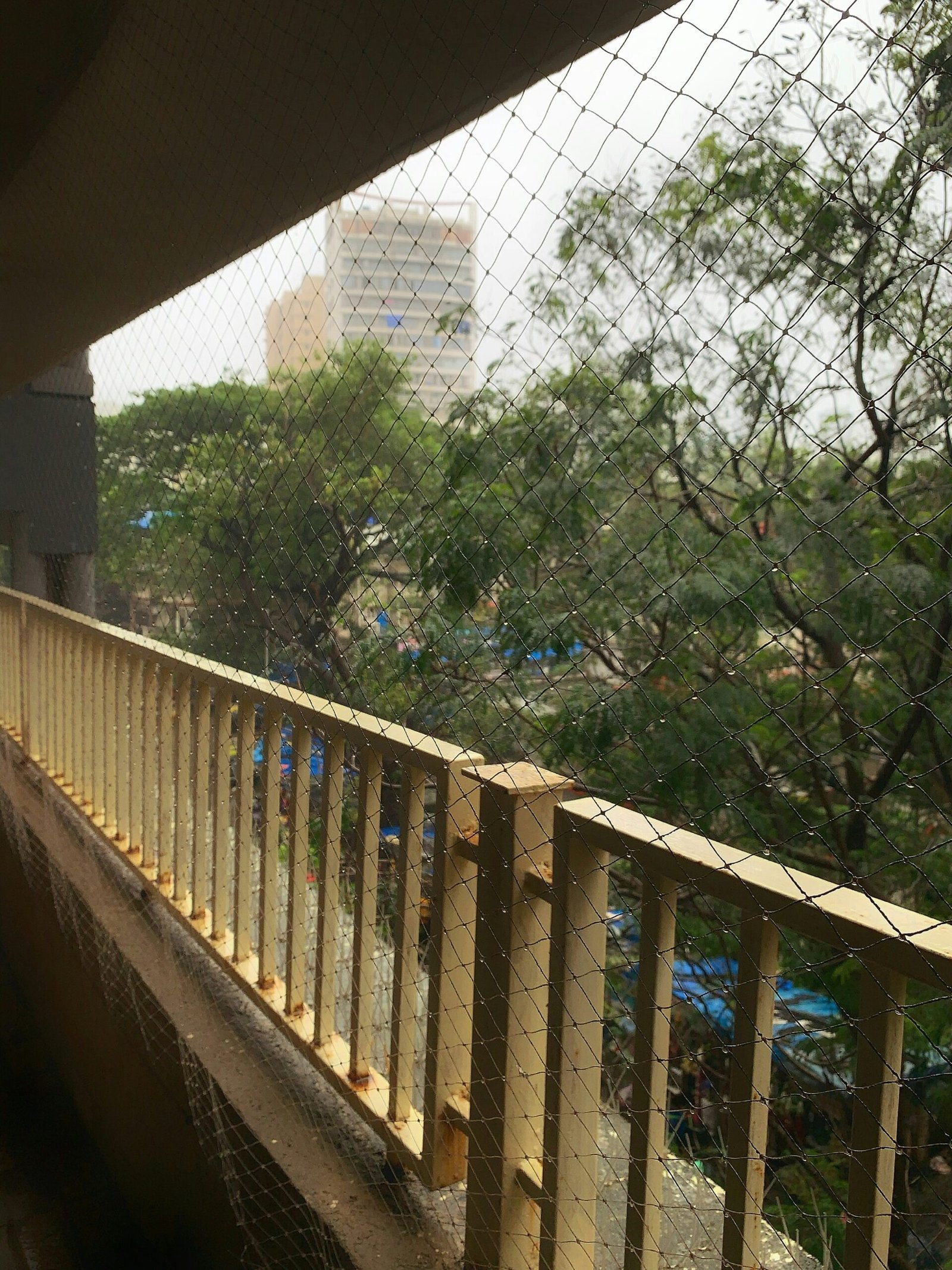 The Benefits of Invisible Bird Netting: A Comprehensive Guide for Your Balcony in Pune
