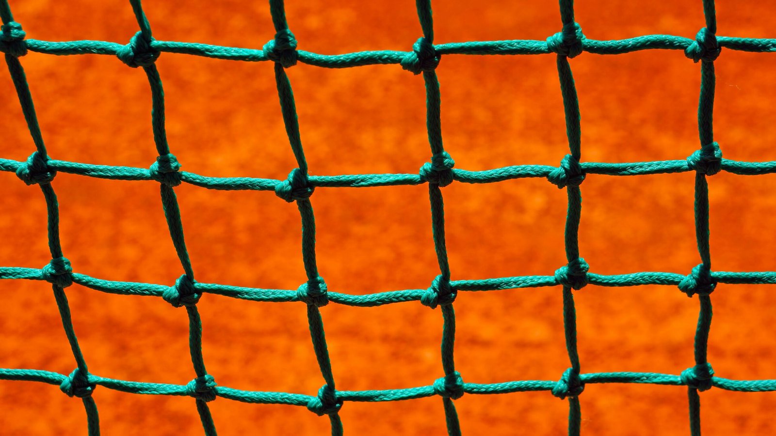 Top-Quality Bird Netting Services Across Maharashtra